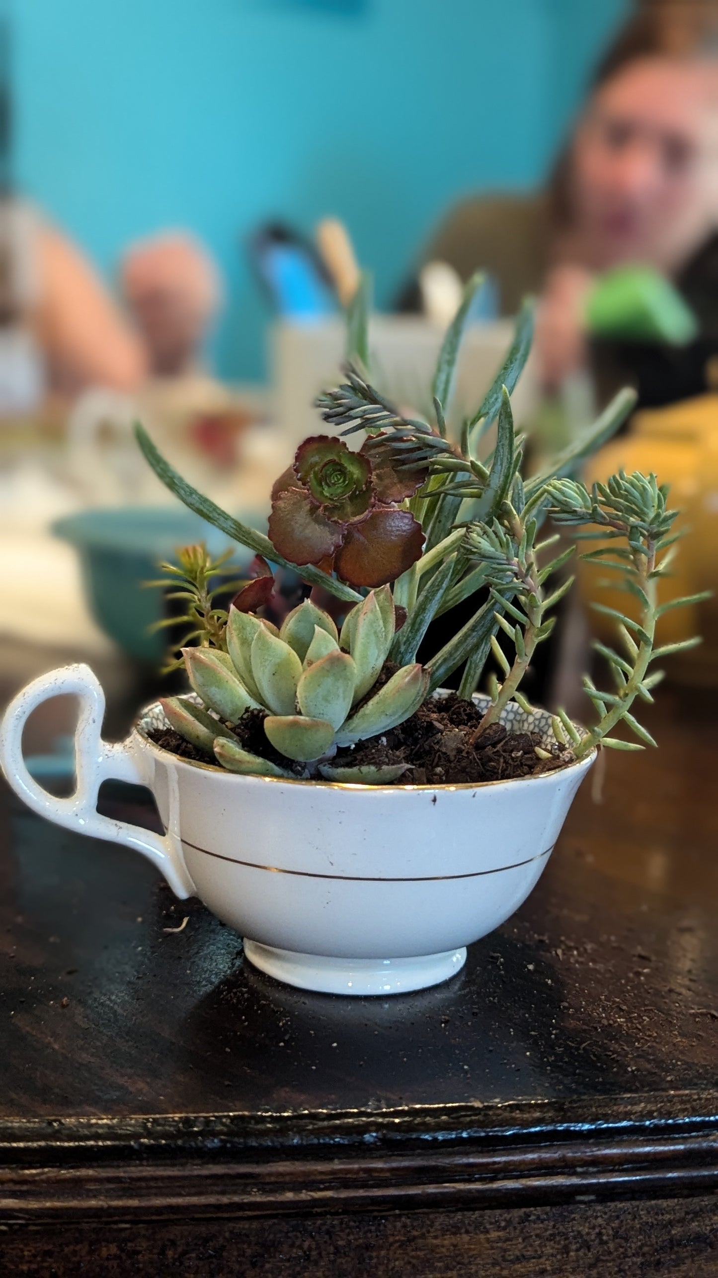 Teacups at the Picker's Market 11AM