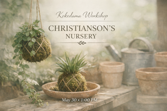 Kokedama at Christianson's Nursery 05/30