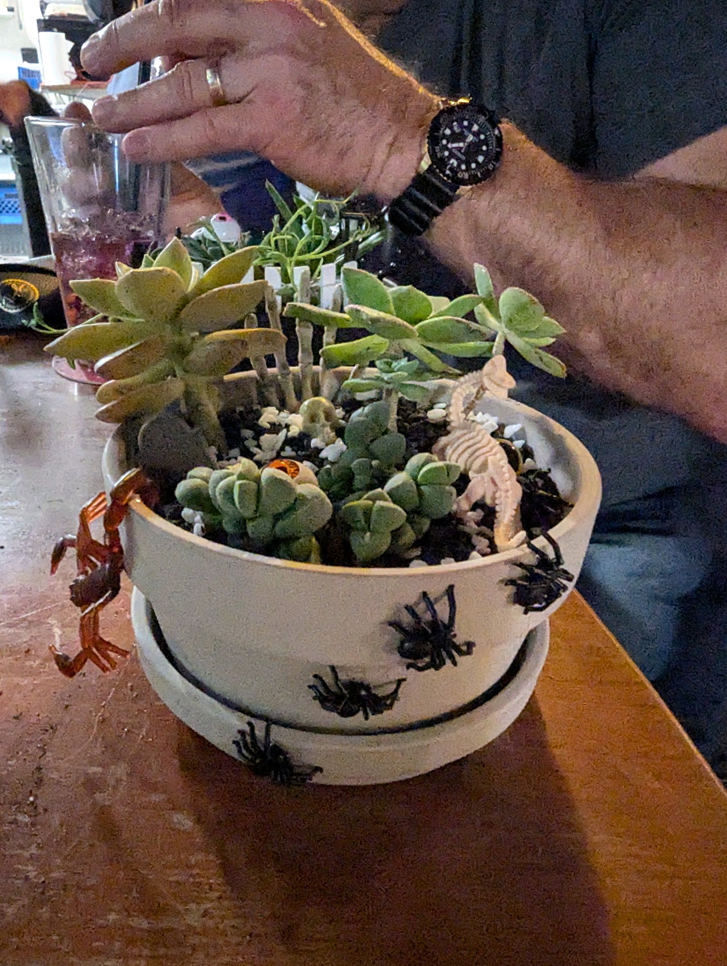 @ Farmstrong, 10/11/25, 6pm