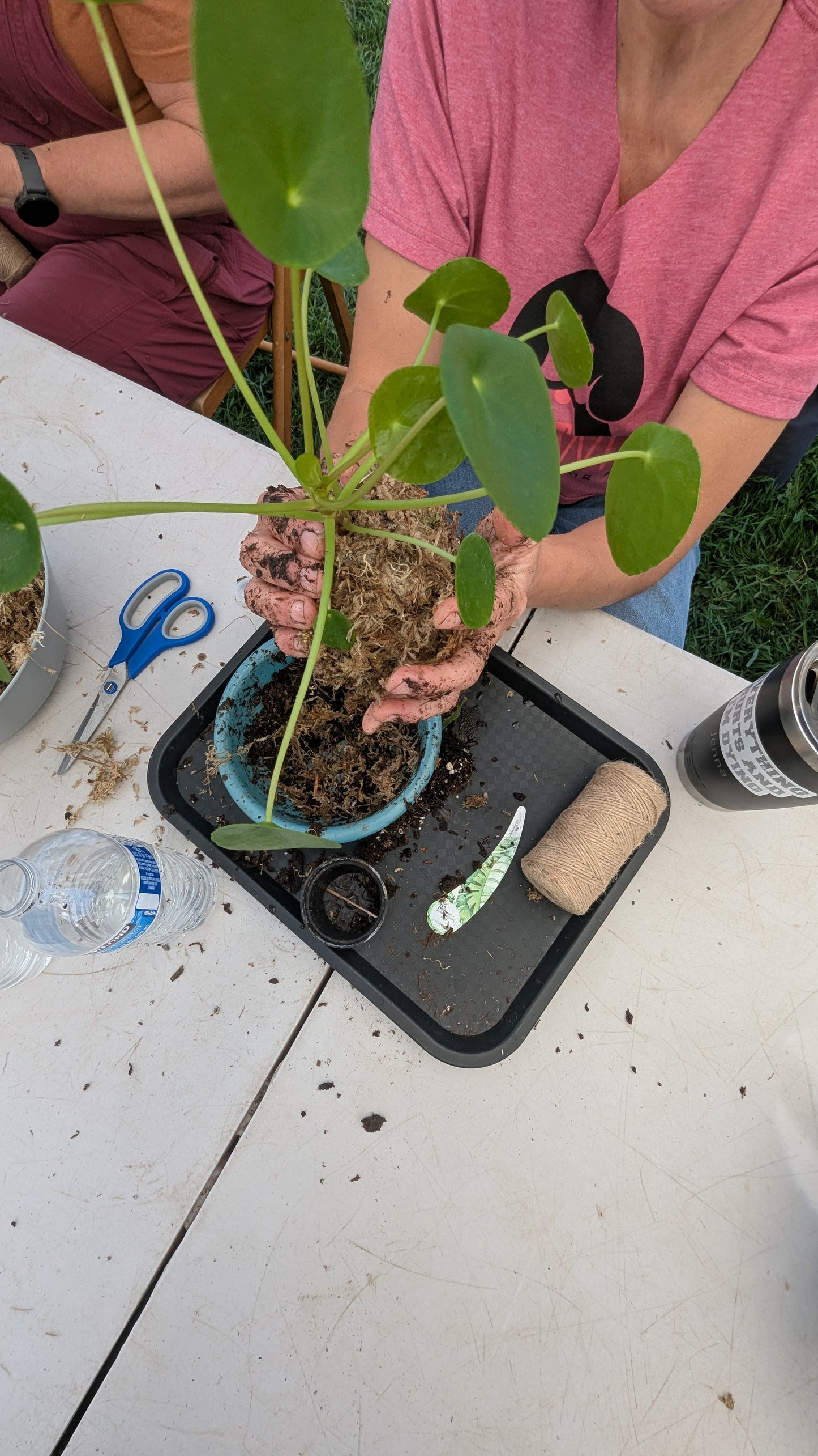 Kokedama at Christianson's Nursery 05/30