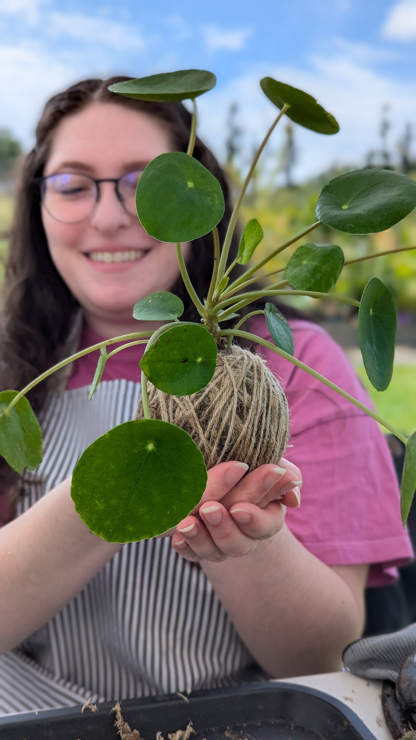 Kokedama at Christianson's Nursery 05/30