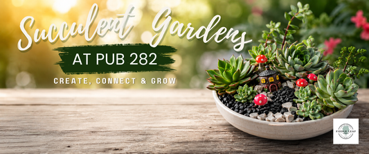 Succulent Gardens at PUB 282