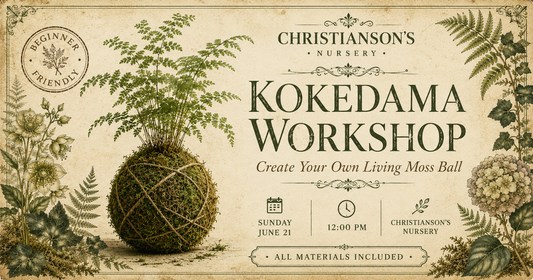 Kokedama at Christianson's Nursery 06/21